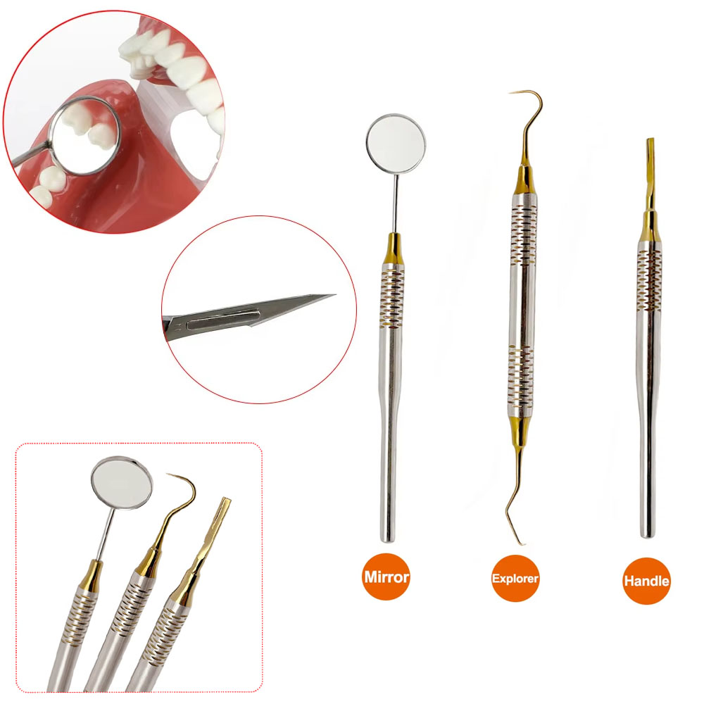 プレミアムステンレス鋼歯科口ミラープローブプロフェッショナル - Dental Mirror Probe のレビューと価格