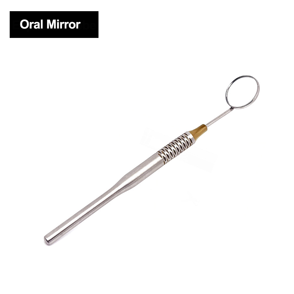 プレミアムステンレス鋼歯科口ミラープローブプロフェッショナル - Dental Mirror Probe のレビューと価格