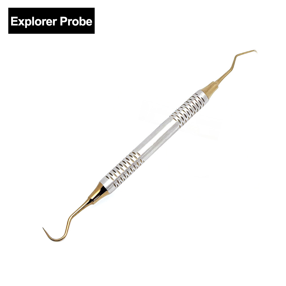 プレミアムステンレス鋼歯科口ミラープローブプロフェッショナル - Dental Mirror Probe のレビューと価格