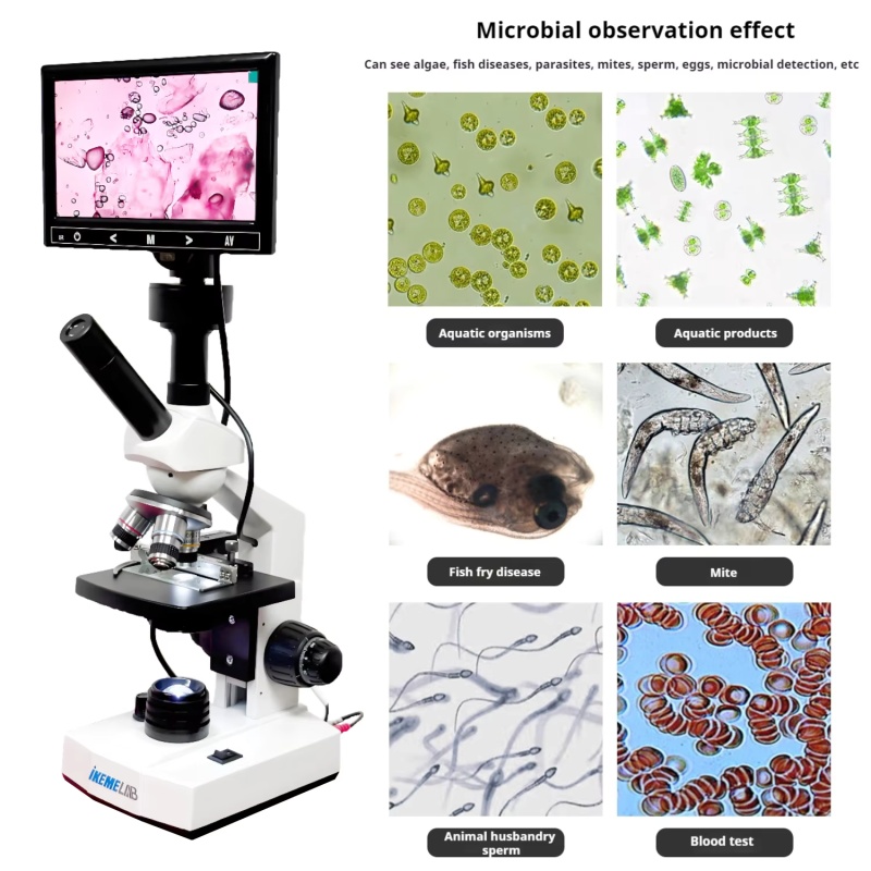 WEIAI 7インチデジタル顕微鏡 40X-400X 電子顕 - Digital Microscope のレビューと価格