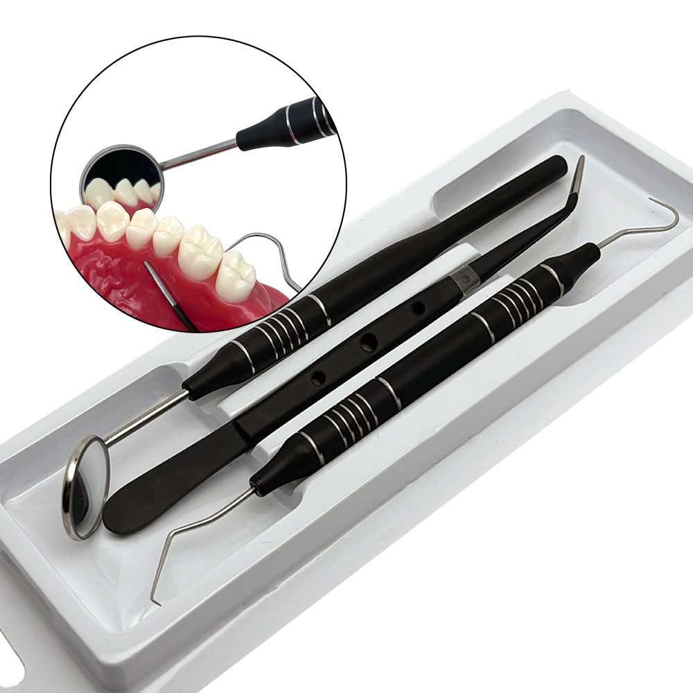 5点セット歯科口腔衛生キット ステンレス製ミラー プローブ  - Dental Mirror Probe のレビューと価格