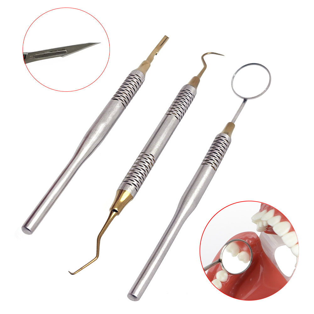 1 個歯科医の歯のクリーニングツール口ミラー/エクスプローラ - Dental Mirror Probe のレビューと価格